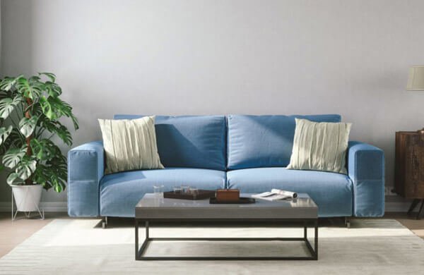 Início 14 lavagem de sofa com antimofo