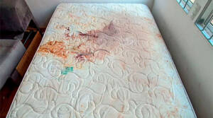 Empresa TOP 1 de lavagem de sofá em Moema - Limpeza de Sofás é na TM Hiper Limp! 4