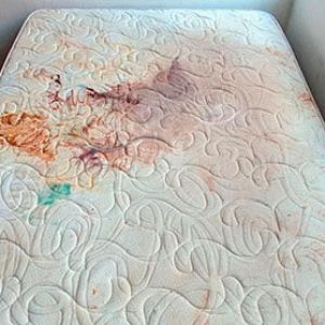 Empresa TOP 1 de limpeza de sofá perto de mim - Lavagem de Sofás é na TM Hiper Limp! 4 Empresa TOP 1 de limpeza de sofá perto de mim - Lavagem de Sofás é na TM Hiper Limp! 4